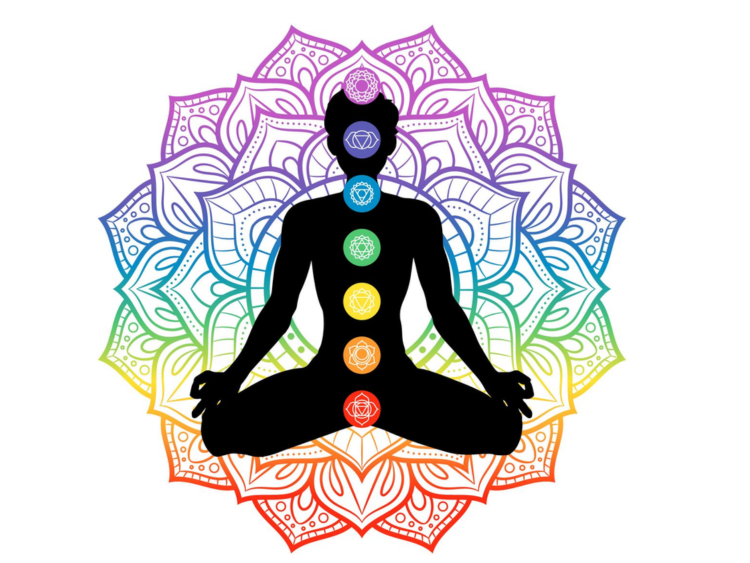 Services of Brain Behavior Psychotherapy Centre